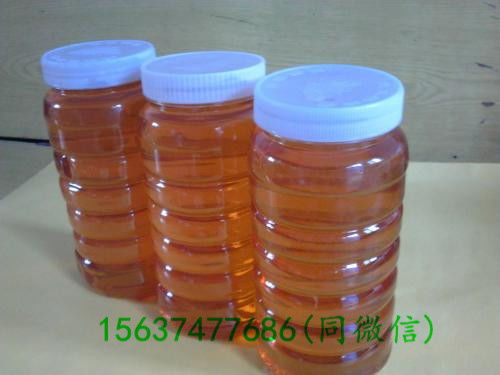 長葛蜂蜜批發價格分析與谷物銷售市場動態